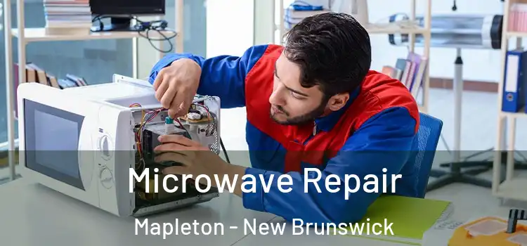 Microwave Repair Mapleton - New Brunswick